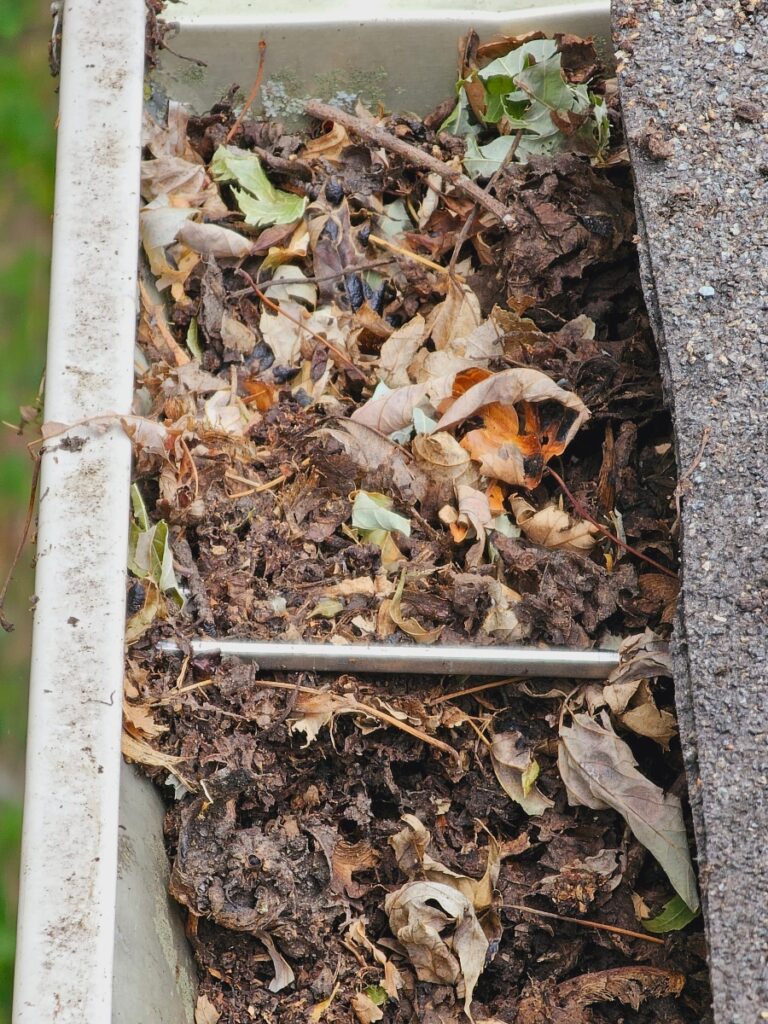 clogged gutters with a leaves and small branches from trees