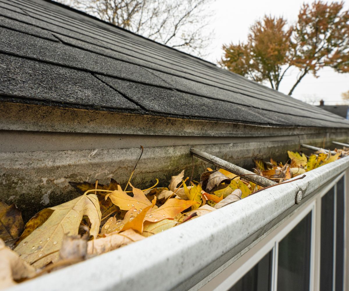 Fort Wayne Gutter Cleaning and Protection: Your Local Expert Solution