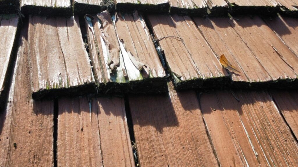 deteriorated state of cedar roof wood after stains are peeling off